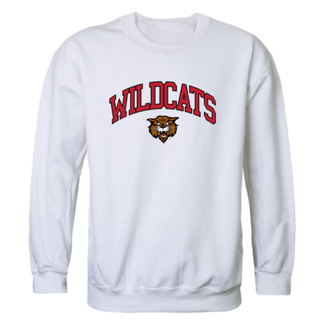 NDSCS North Dakota State College of Science Wildcats Campus Crewneck Sweatshirt