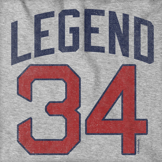 Legend 34 Alter Ego Hoodie