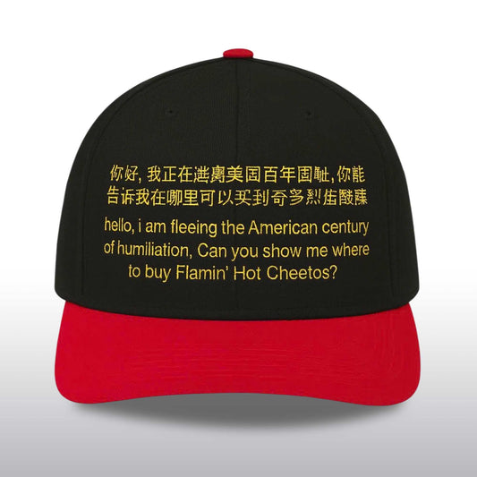 Hello, I Am Fleeing The American Hat -Moonbestprint