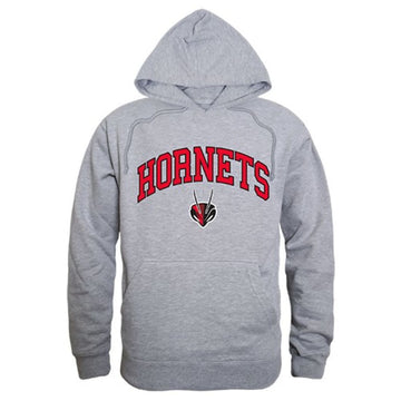 Lynchburg College Hornets Campus Hoodie Sweatshirt Heather Grey