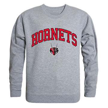 Lynchburg College Campus Crewneck Pullover Sweatshirt Sweater Heather Grey