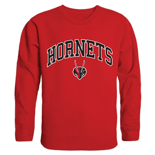 Lynchburg College Campus Crewneck Pullover Sweatshirt Sweater Red