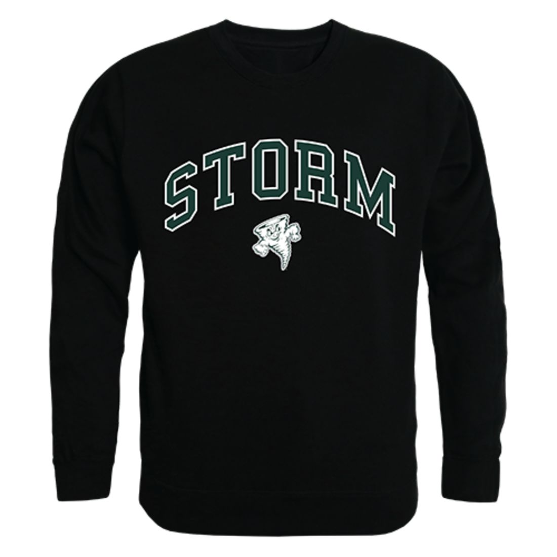 Lake Erie College Campus Crewneck Pullover Sweatshirt Sweater Black