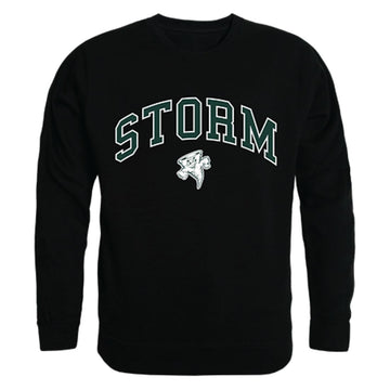 Lake Erie College Campus Crewneck Pullover Sweatshirt Sweater Black