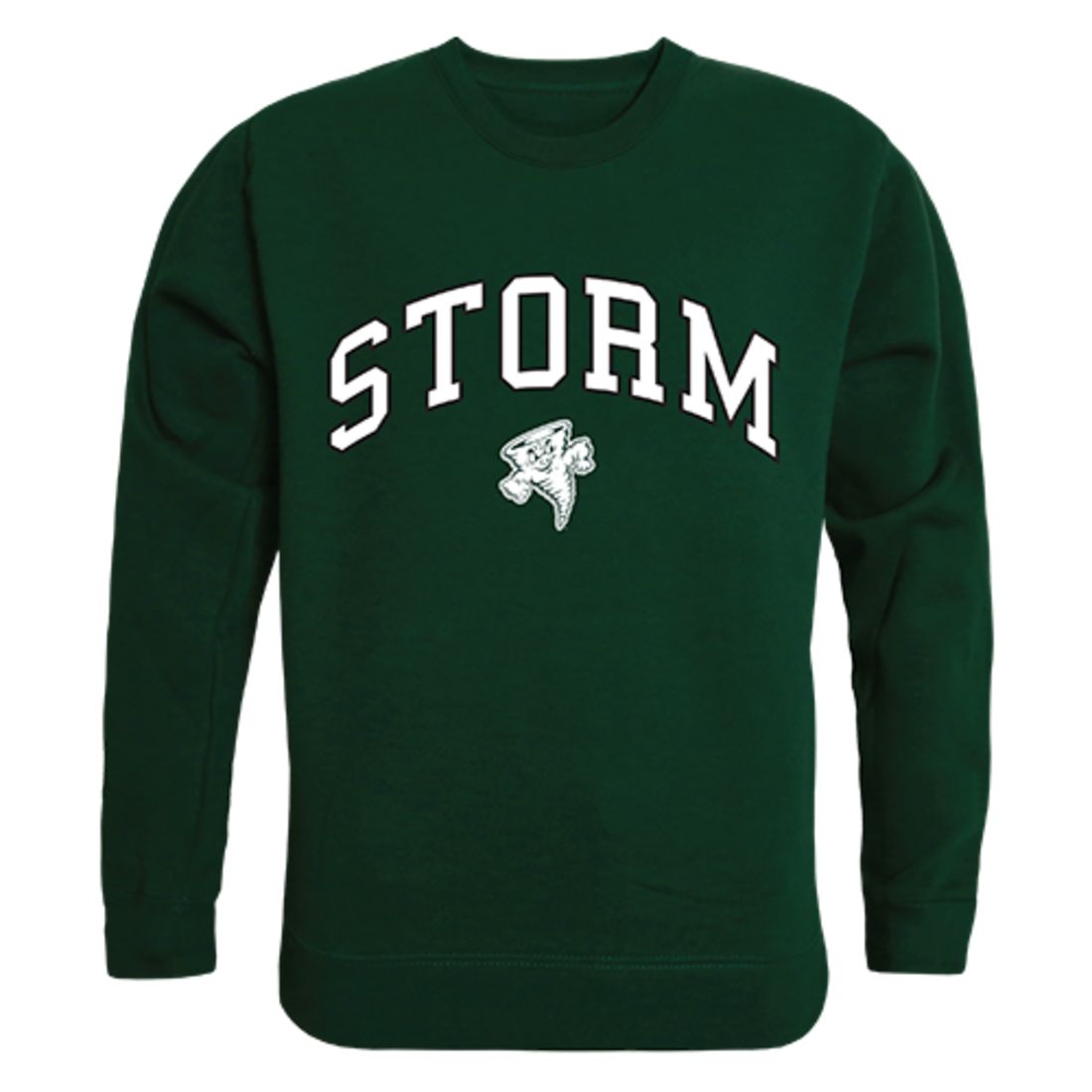 Lake Erie College Campus Crewneck Pullover Sweatshirt Sweater Forest