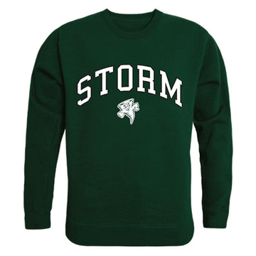 Lake Erie College Campus Crewneck Pullover Sweatshirt Sweater Forest