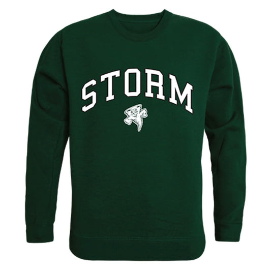 Lake Erie College Campus Crewneck Pullover Sweatshirt Sweater Forest