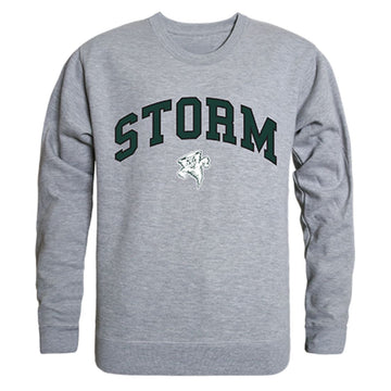 Lake Erie College Campus Crewneck Pullover Sweatshirt Sweater Heather Grey