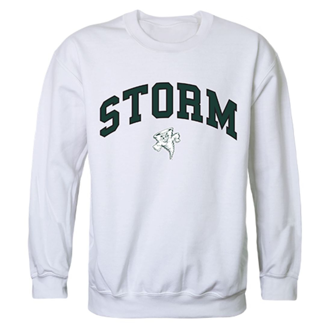 Lake Erie College Campus Crewneck Pullover Sweatshirt Sweater White