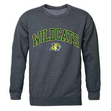 NMU Northern Michigan University Campus Crewneck Pullover Sweatshirt Sweater Heather Charcoal