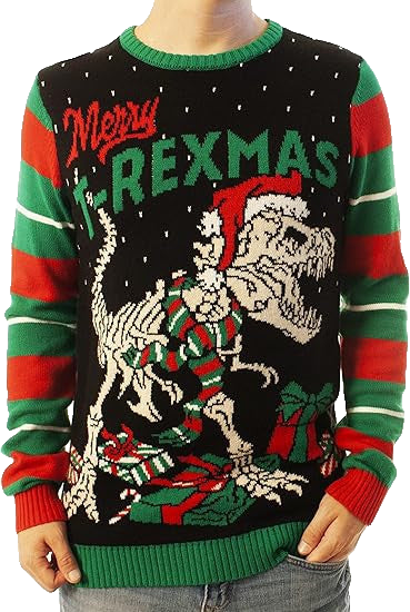 Merry T-rexmas Ugly Christmas Sweater – Moonbestprint