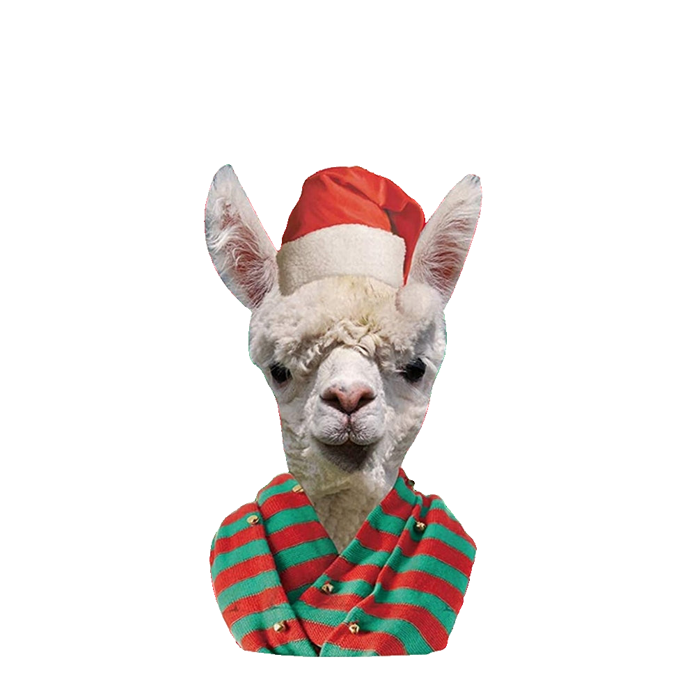 Alpaca Print Ugly Christmas Sweatshirt - Moonbestprint