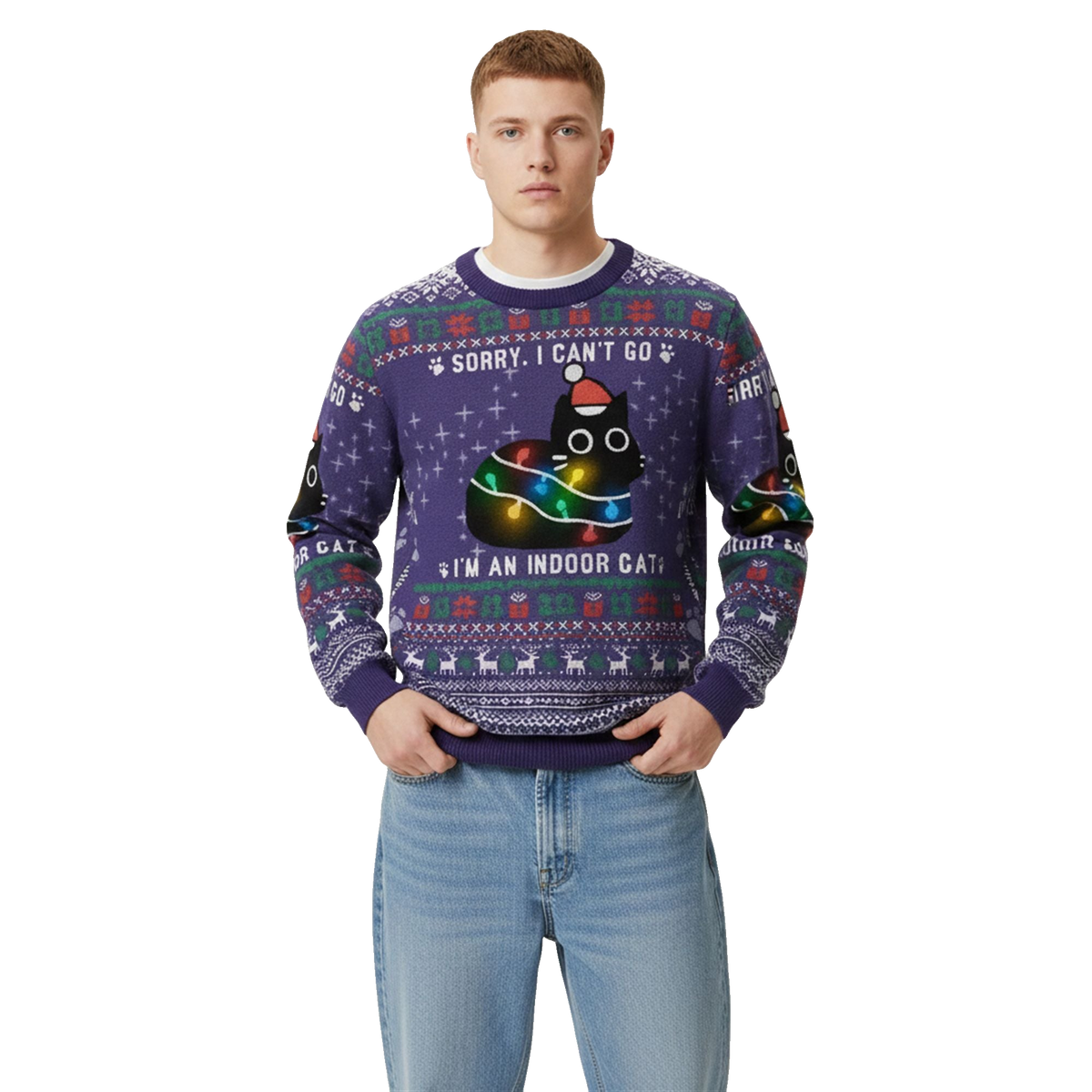 2026 Christmas Im An Indoor Cat Ugly Sweater - Moonbestprint