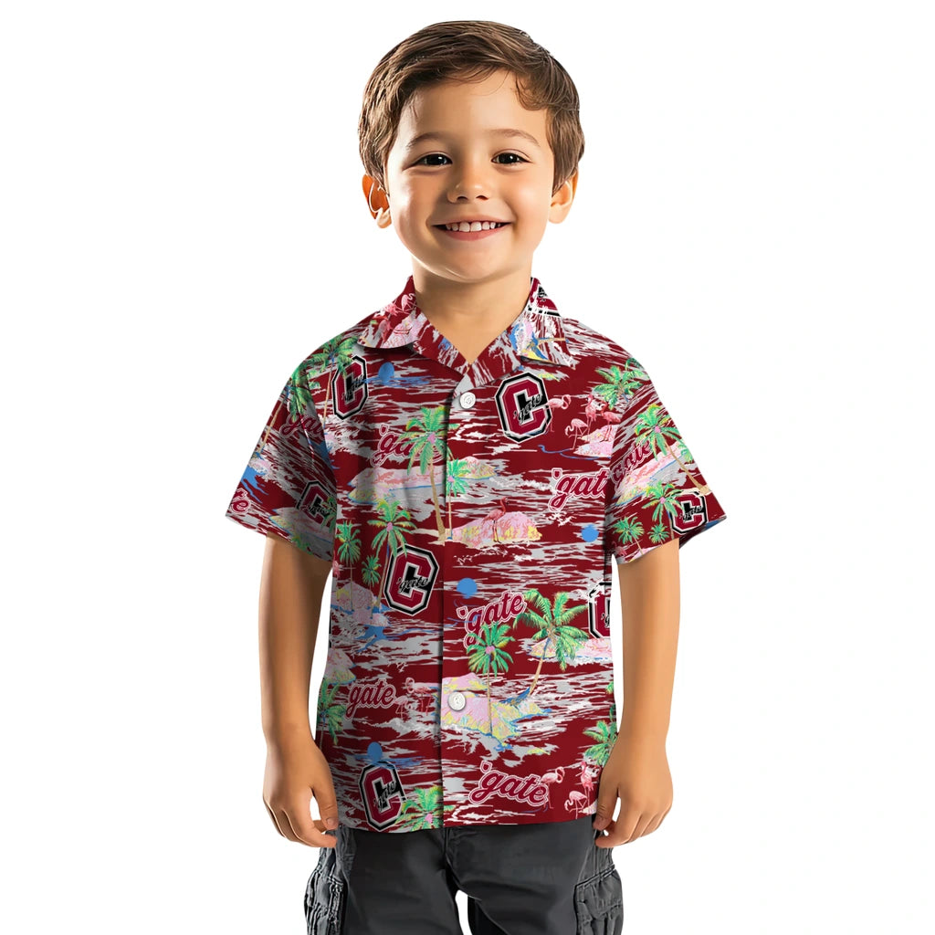 Colgate Raiders Hawaiian Shirt - Hawaii Island | Moonbestprint