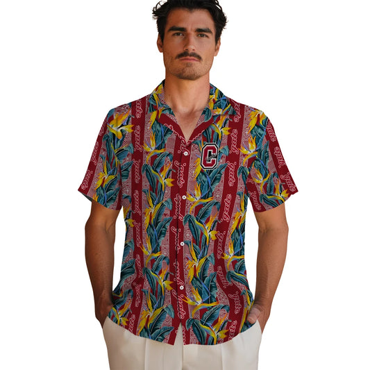 Colgate Raiders Hawaiian Shirt - Paradise Vines | Moonbestprint