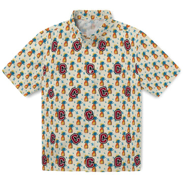 Colgate Raiders Hawaiian Shirt - Pineapple Delight | Moonbestprint