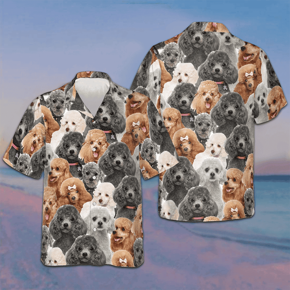 Poodles In Different Colors Hawaiian Shirt Men's Beach Button Up Gifts For Dog Owners – Moonbestprint