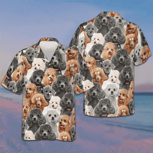 Poodles In Different Colors Hawaiian Shirt Men's Beach Button Up Gifts For Dog Owners – Moonbestprint