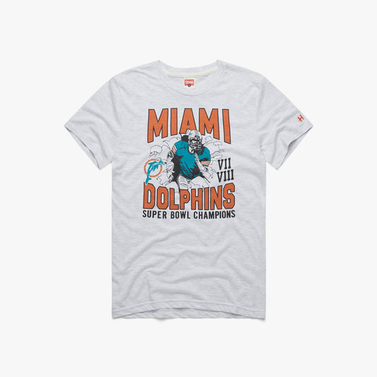 Dolphins 2 Time Super Bowl Champions