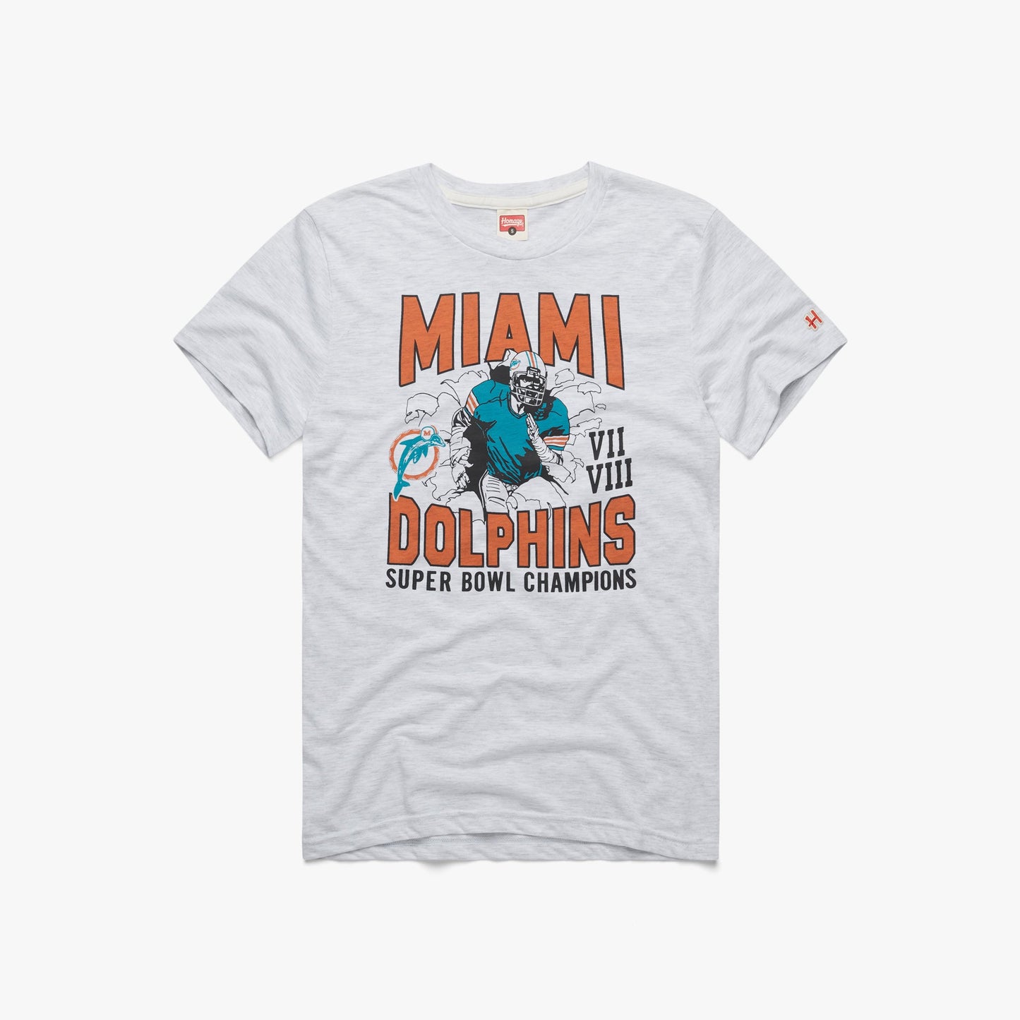 Dolphins 2 Time Super Bowl Champions