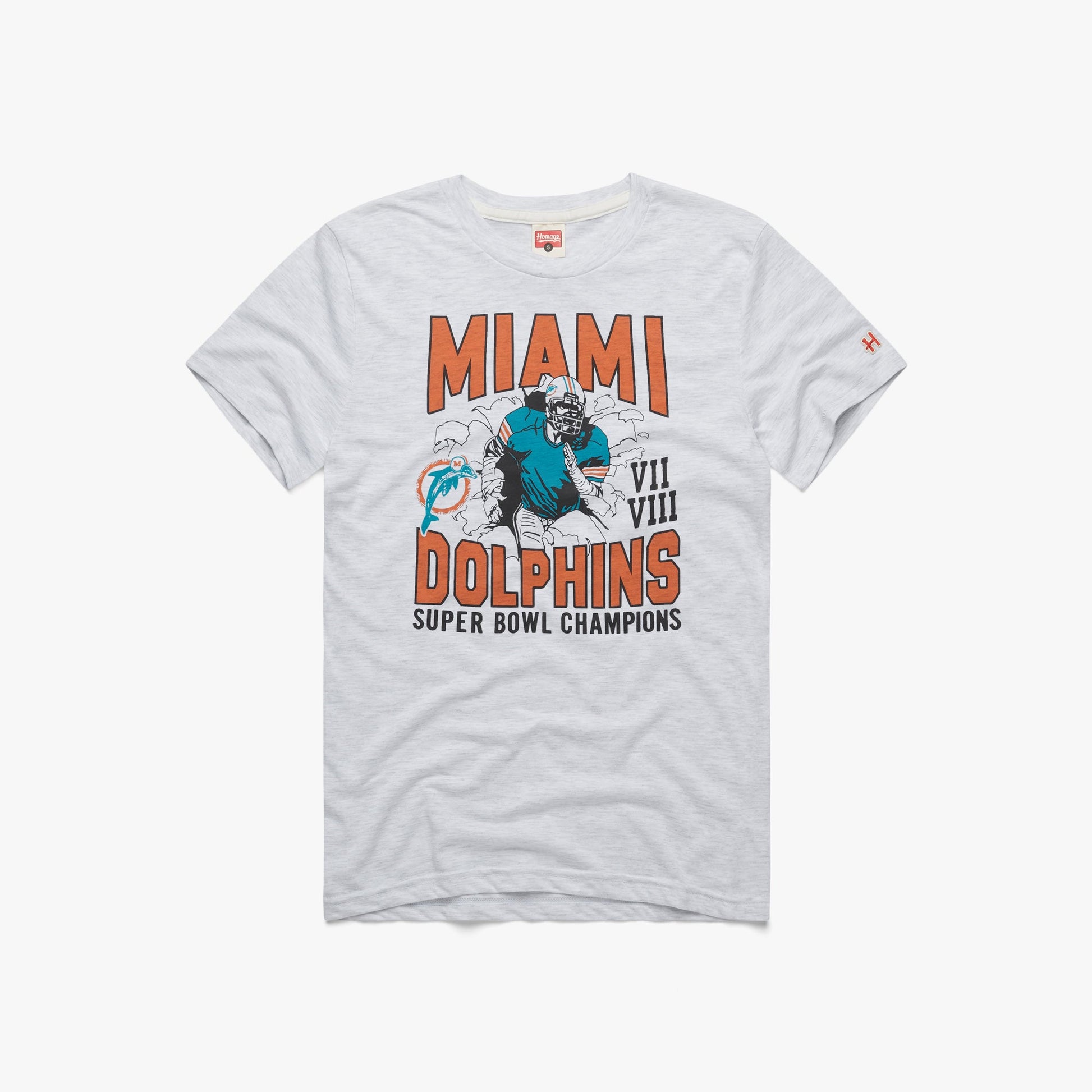 Dolphins 2 Time Super Bowl Champions