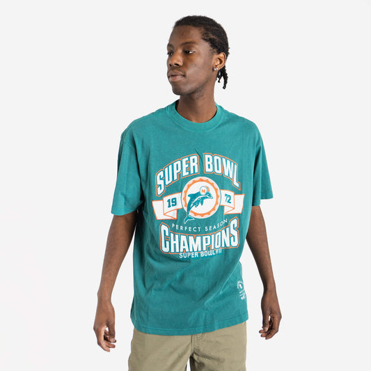Miami Dolphins Vintage Perfect Season NFL T-Shirt