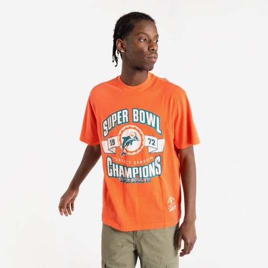 Miami Dolphins Vintage Perfect Season NFL T-Shirt