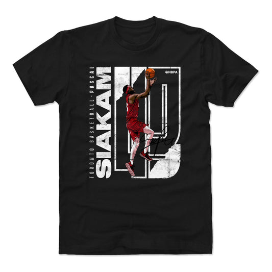 Pascal Siakam Stretch