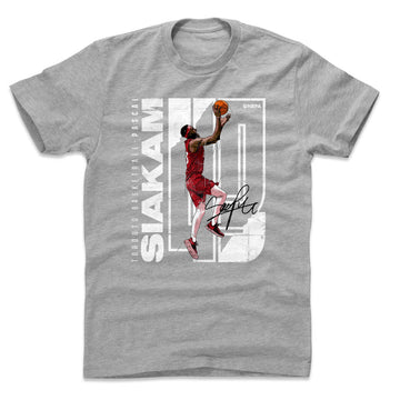 Pascal Siakam Stretch