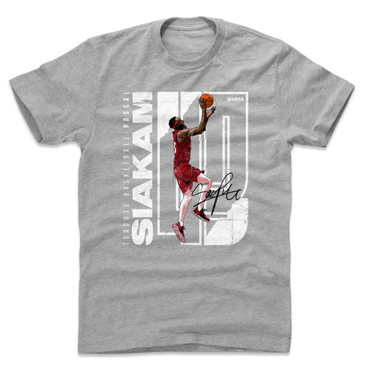 Pascal Siakam Stretch