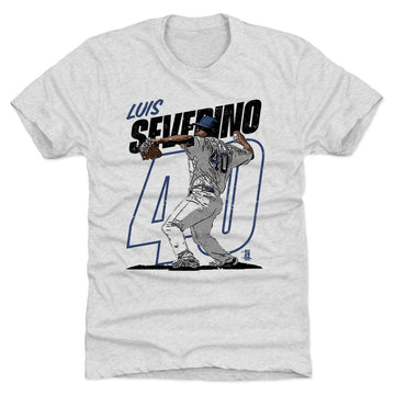 Luis Severino Power B