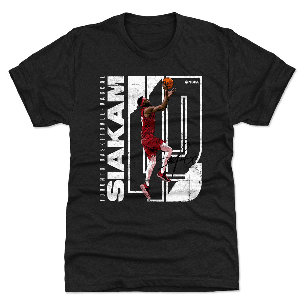 Pascal Siakam Stretch