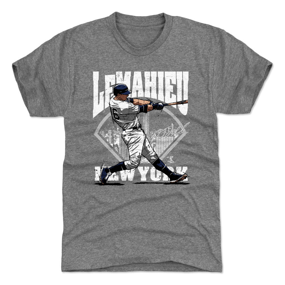 DJ LeMahieu Field