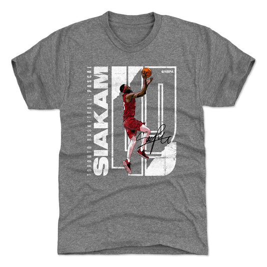 Pascal Siakam Stretch