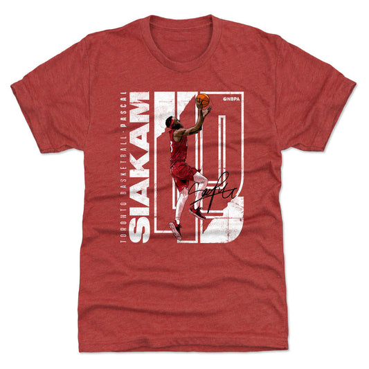 Pascal Siakam Stretch