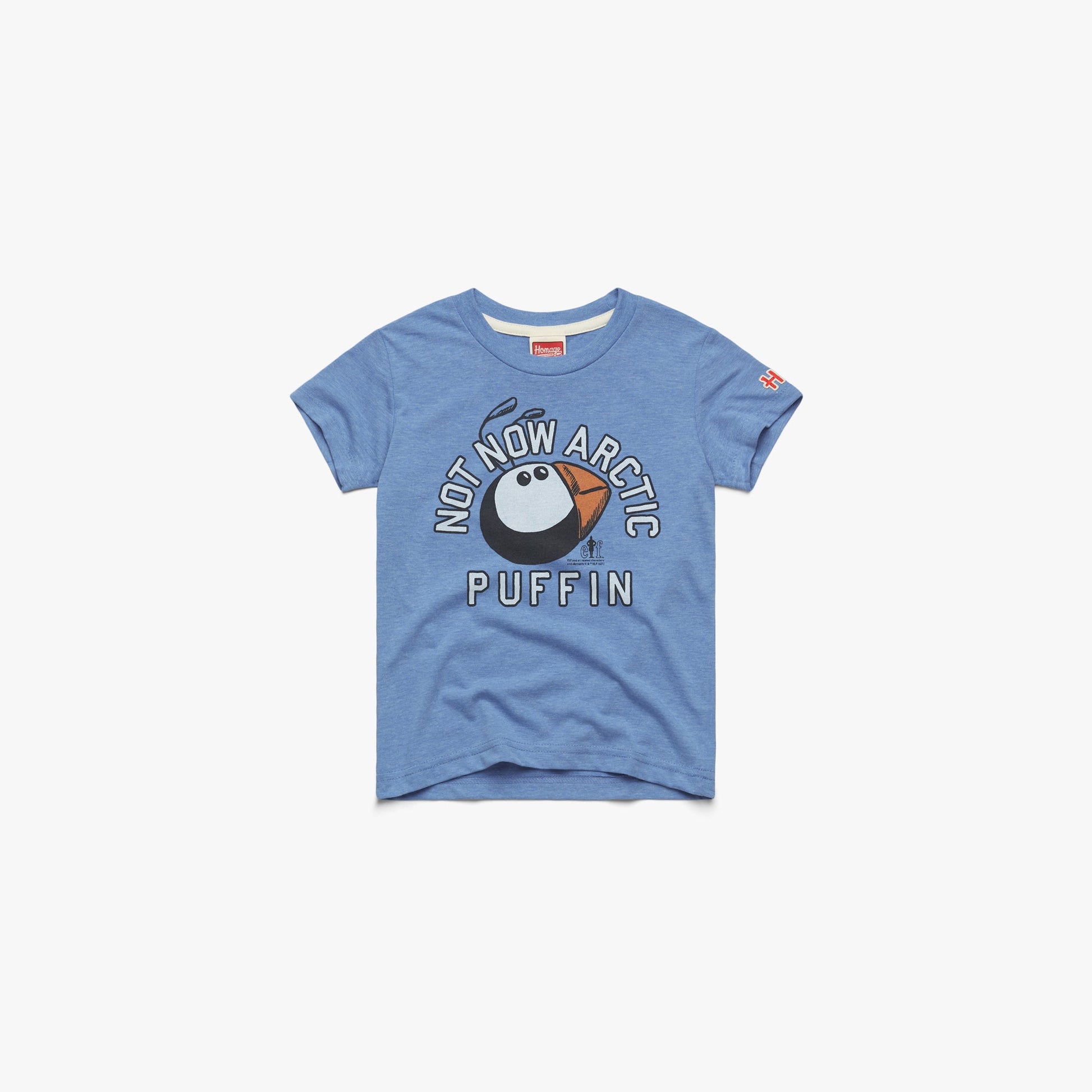 Youth Not Now Arctic Puffin