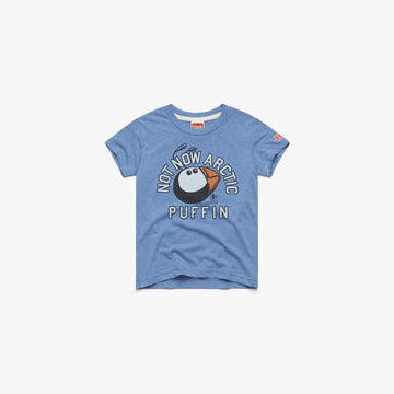 Youth Not Now Arctic Puffin