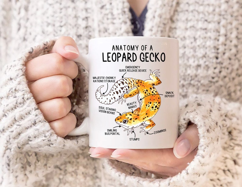 Best Gift For Mom - Anatomy Of Leopard Gecko Coffee Mug - Mug - Qttrendycustom